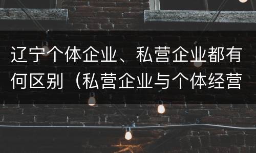 辽宁个体企业、私营企业都有何区别（私营企业与个体经营企业的区别）