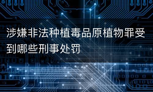涉嫌非法种植毒品原植物罪受到哪些刑事处罚