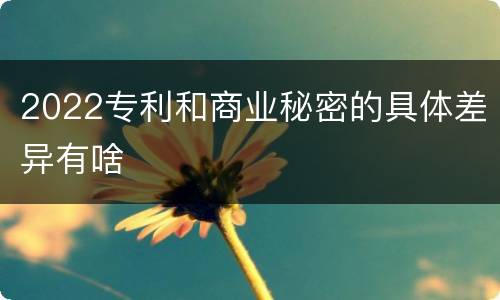 2022专利和商业秘密的具体差异有啥