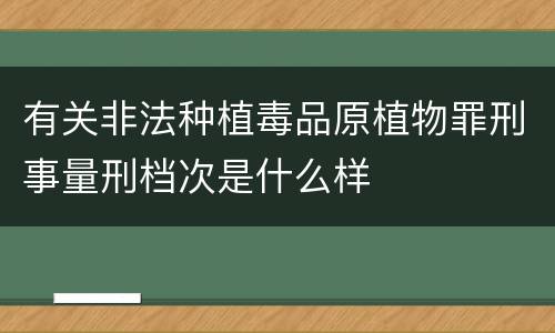 有关非法种植毒品原植物罪刑事量刑档次是什么样