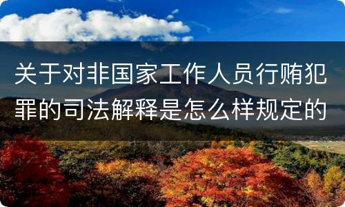 关于对非国家工作人员行贿犯罪的司法解释是怎么样规定的
