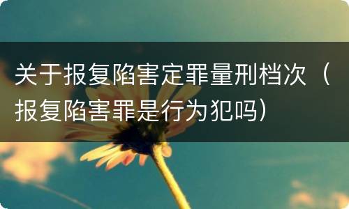 关于报复陷害定罪量刑档次（报复陷害罪是行为犯吗）