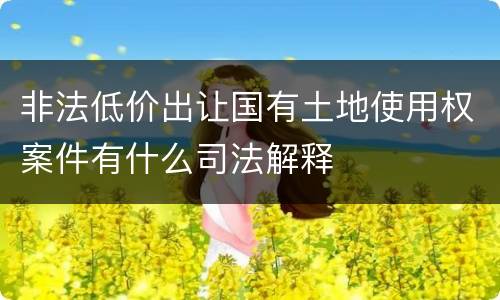 非法低价出让国有土地使用权案件有什么司法解释