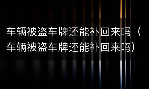 车辆被盗车牌还能补回来吗（车辆被盗车牌还能补回来吗）
