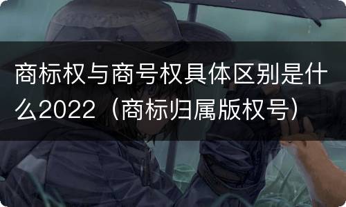 商标权与商号权具体区别是什么2022（商标归属版权号）