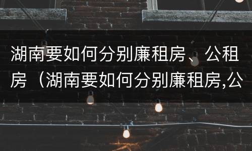 湖南要如何分别廉租房、公租房（湖南要如何分别廉租房,公租房和民宅）