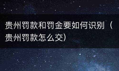 贵州罚款和罚金要如何识别（贵州罚款怎么交）