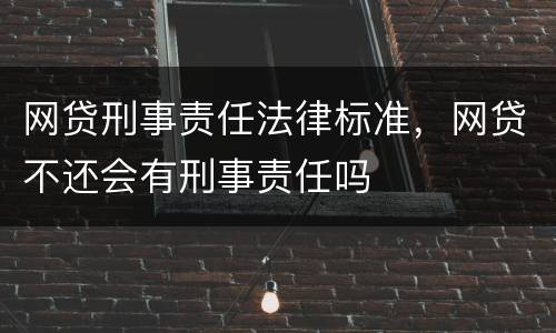 网贷刑事责任法律标准，网贷不还会有刑事责任吗