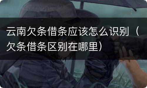 云南欠条借条应该怎么识别（欠条借条区别在哪里）