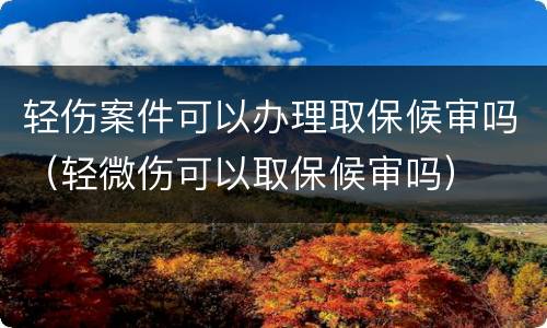 轻伤案件可以办理取保候审吗（轻微伤可以取保候审吗）