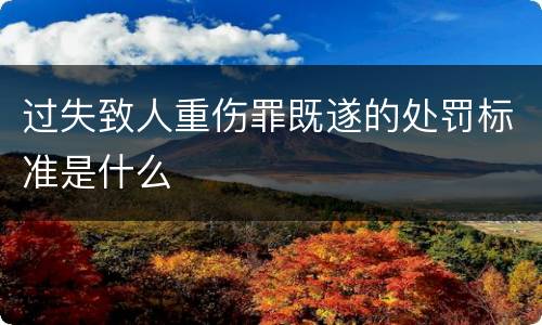 过失致人重伤罪既遂的处罚标准是什么