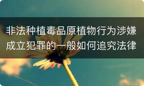 非法种植毒品原植物行为涉嫌成立犯罪的一般如何追究法律责任