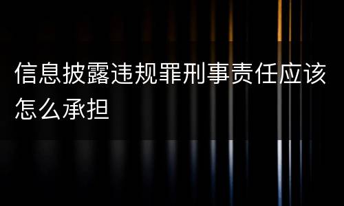 信息披露违规罪刑事责任应该怎么承担