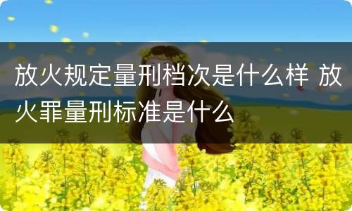 放火规定量刑档次是什么样 放火罪量刑标准是什么