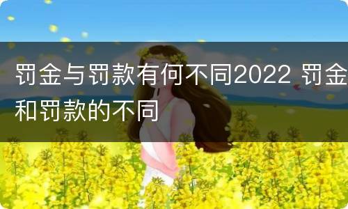 罚金与罚款有何不同2022 罚金和罚款的不同