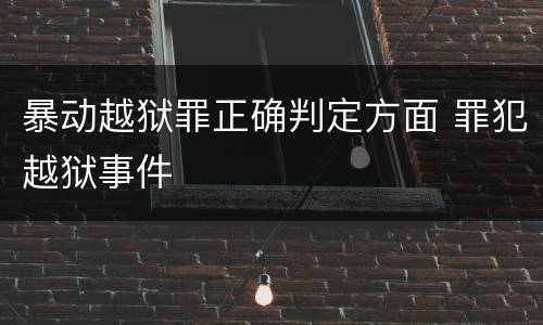 暴动越狱罪正确判定方面 罪犯越狱事件
