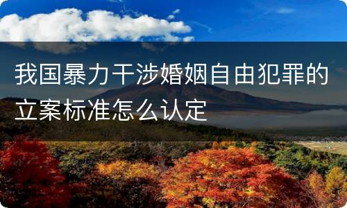 我国暴力干涉婚姻自由犯罪的立案标准怎么认定