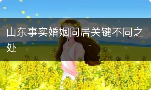山东事实婚姻同居关键不同之处