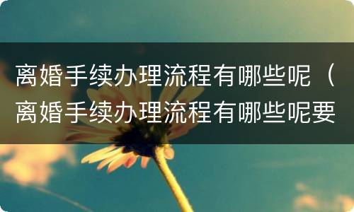 离婚手续办理流程有哪些呢（离婚手续办理流程有哪些呢要多久）