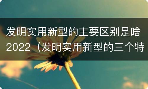 发明实用新型的主要区别是啥2022（发明实用新型的三个特点）