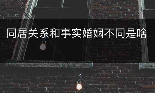 同居关系和事实婚姻不同是啥