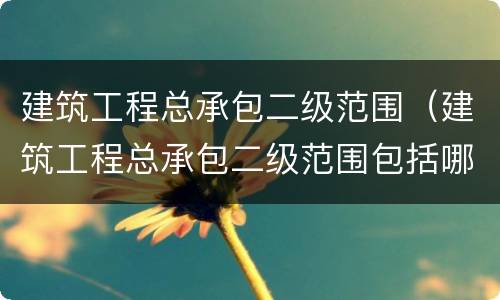 建筑工程总承包二级范围（建筑工程总承包二级范围包括哪些）