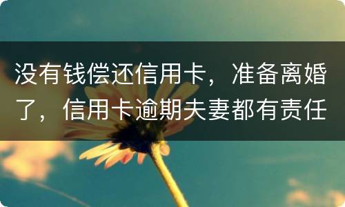 没有钱偿还信用卡，准备离婚了，信用卡逾期夫妻都有责任吗