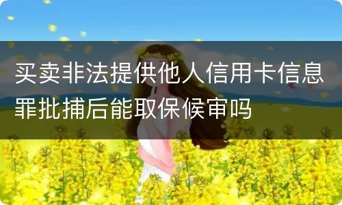 买卖非法提供他人信用卡信息罪批捕后能取保候审吗
