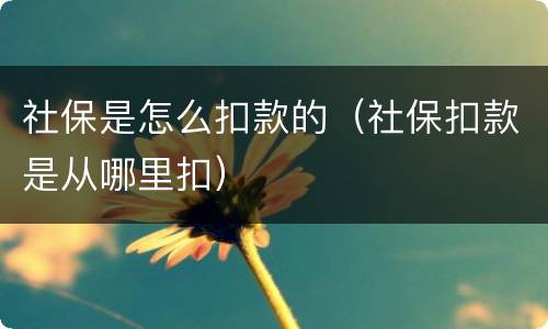 社保是怎么扣款的（社保扣款是从哪里扣）