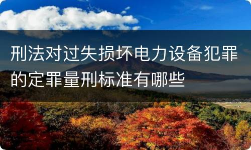 刑法对过失损坏电力设备犯罪的定罪量刑标准有哪些