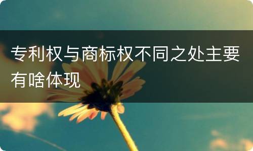 专利权与商标权不同之处主要有啥体现