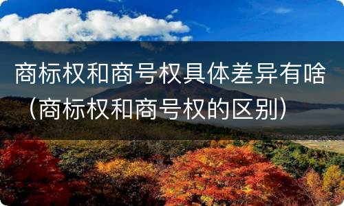 商标权和商号权具体差异有啥（商标权和商号权的区别）