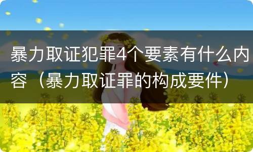 暴力取证犯罪4个要素有什么内容（暴力取证罪的构成要件）