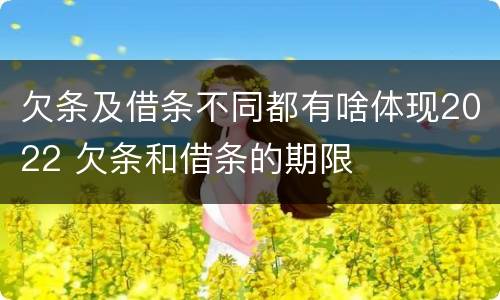 欠条及借条不同都有啥体现2022 欠条和借条的期限