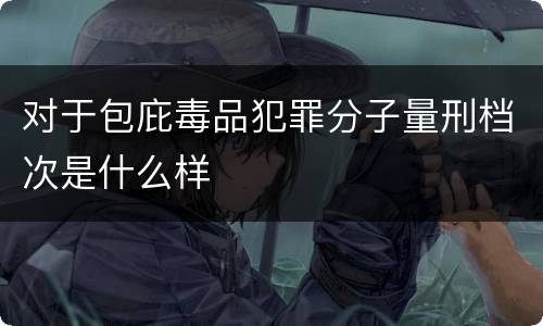 对于包庇毒品犯罪分子量刑档次是什么样