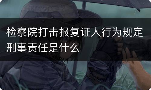 检察院打击报复证人行为规定刑事责任是什么