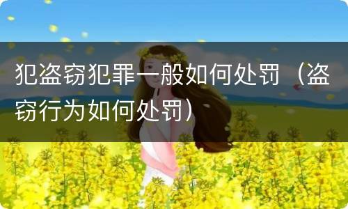 犯盗窃犯罪一般如何处罚（盗窃行为如何处罚）