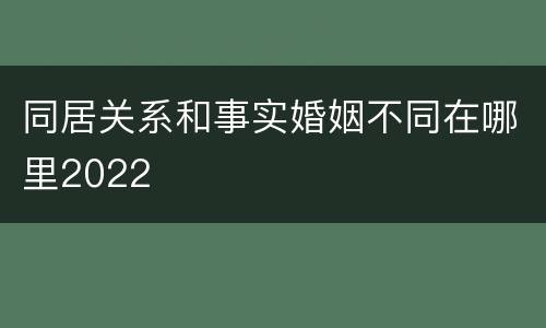 同居关系和事实婚姻不同在哪里2022