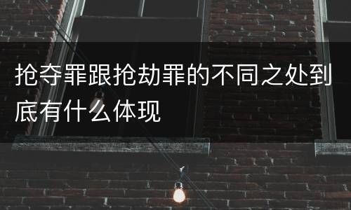 抢夺罪跟抢劫罪的不同之处到底有什么体现