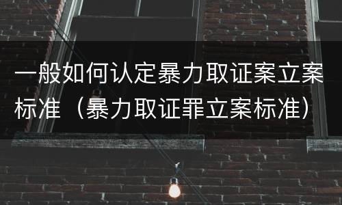 一般如何认定暴力取证案立案标准（暴力取证罪立案标准）