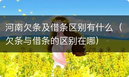 河南欠条及借条区别有什么（欠条与借条的区别在哪）