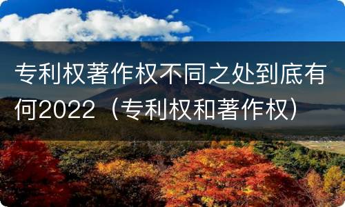 专利权著作权不同之处到底有何2022（专利权和著作权）