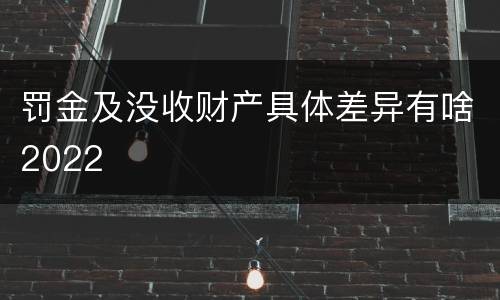 罚金及没收财产具体差异有啥2022