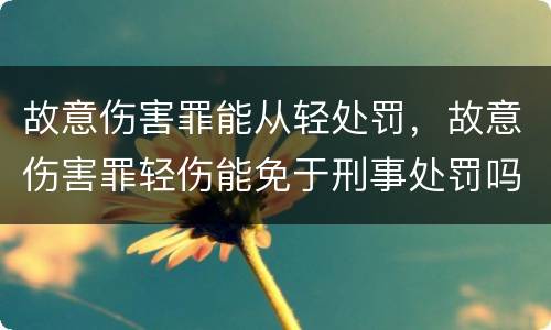 故意伤害罪能从轻处罚，故意伤害罪轻伤能免于刑事处罚吗