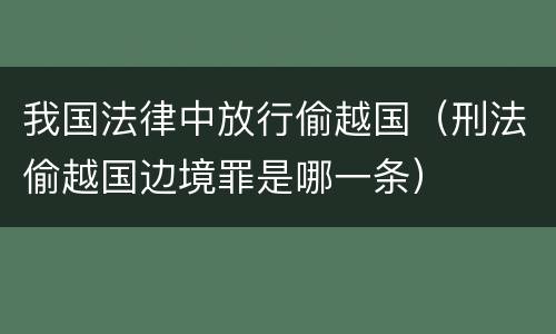 我国法律中放行偷越国（刑法偷越国边境罪是哪一条）