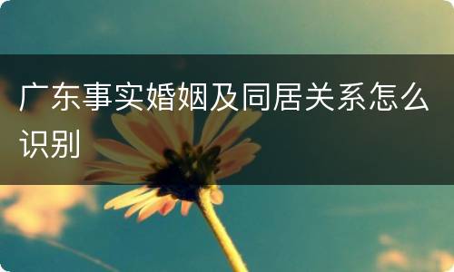 广东事实婚姻及同居关系怎么识别