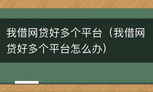 我借网贷好多个平台（我借网贷好多个平台怎么办）