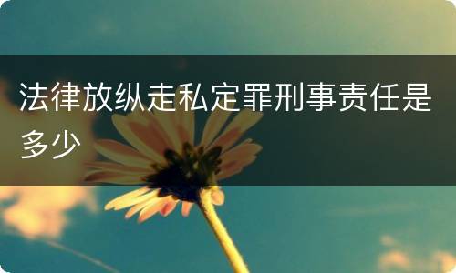 法律放纵走私定罪刑事责任是多少