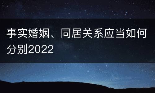 事实婚姻、同居关系应当如何分别2022