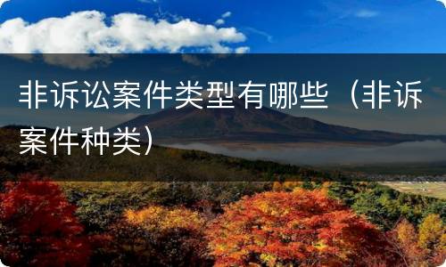 非诉讼案件类型有哪些（非诉案件种类）